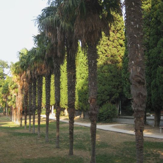 Miskhor Park