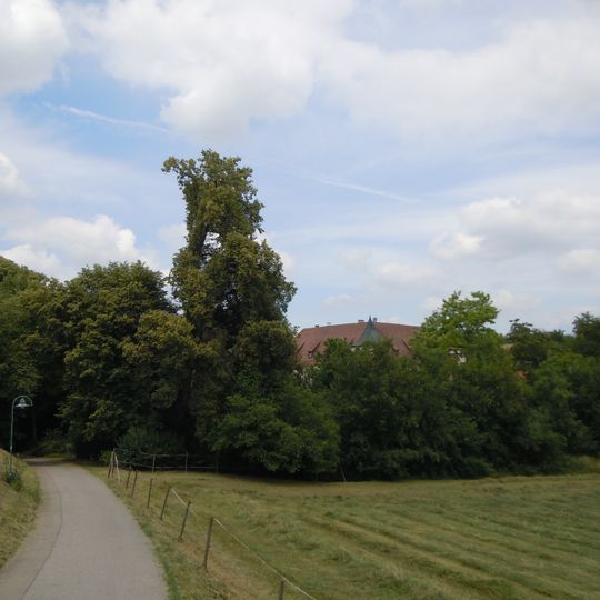 3 Linden südlich des Schloßes