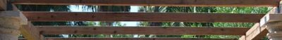 Panoramic View 1
