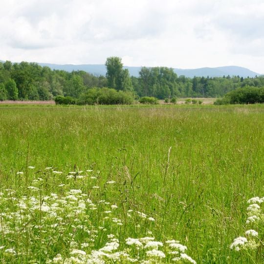 Schutz von Landschaftsteilen an der Isar und deren Mündungsgebiet im Landkreis Deggendorf
