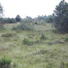 Anordnung zum Schutz der Altenbergfilze in der Gemeinde Manhartshofen