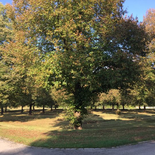 Bodendenkmal in München, #D-1-7935-0112