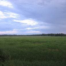 Rezerwat przyrody Piskory