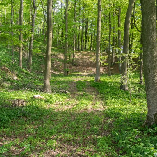 NSG Silberbachtal mit Ziegenberg