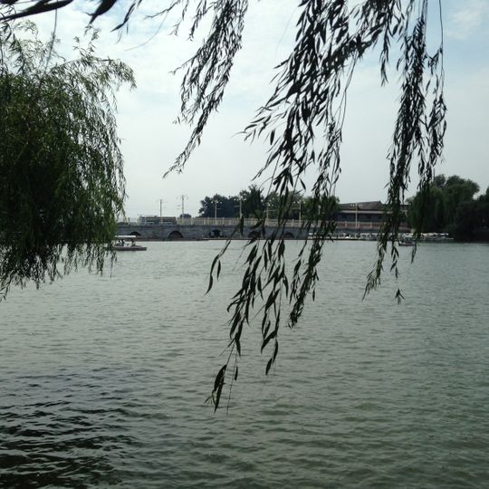 Gold Tortoise Jade Rainbow Bridge