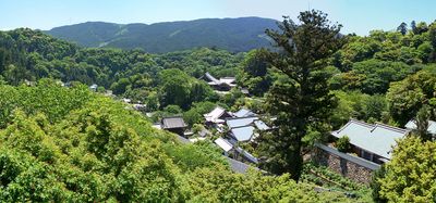 The view 0