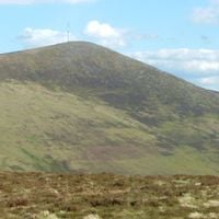 Wexford