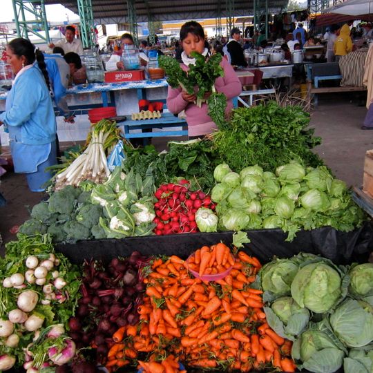Cantone di Saquisilí