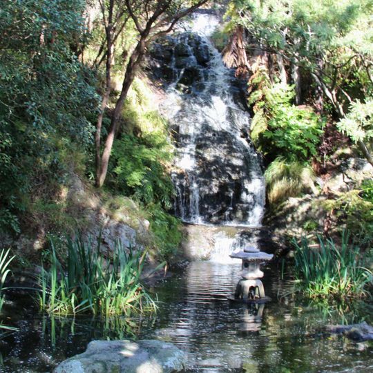 Wellington Botanic Garden Waterfall