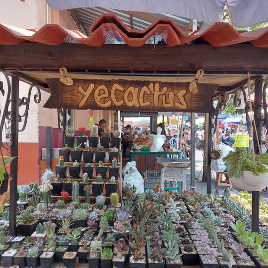 Municipal Market Yecapixtla