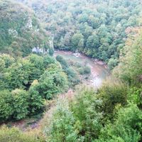 Terjola Municipality