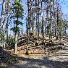 Gündisau / Schlossberg, medieval castle site Wildberg