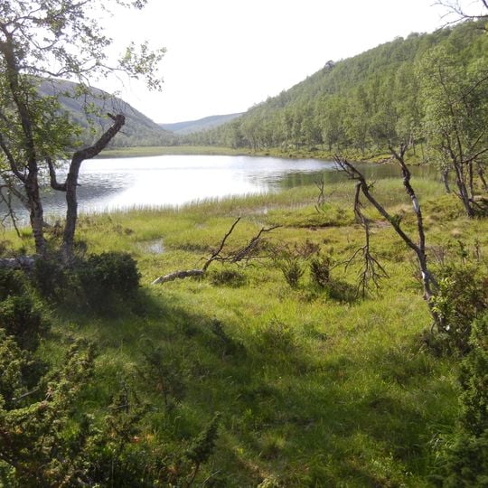 Muotkatunturin Erämaa