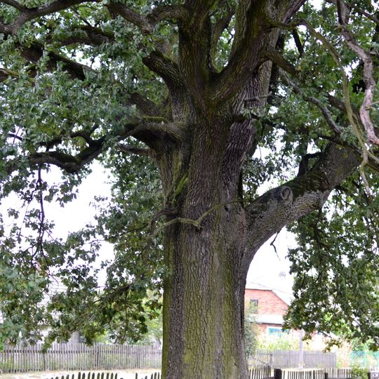 Pamyat Dulibiv nature monument