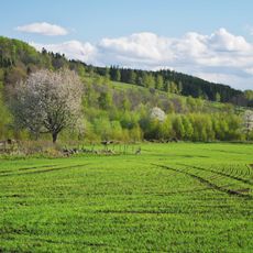 Mularpabäckens dalgång