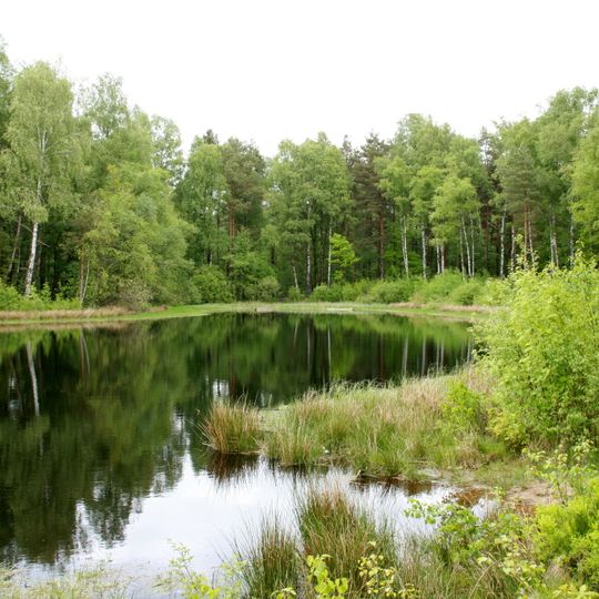 Riensheide mit Stichter See und Sägenmoor