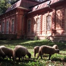 Kaštieľ a park, kaštieľ