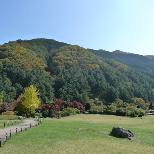 Jardin du matin calme