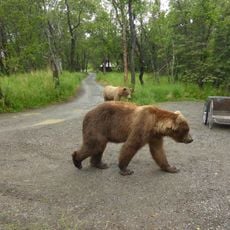 Brooks Camp Visitor Center