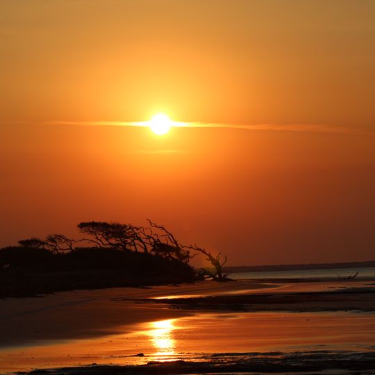 Blackbeard Island National Wildlife Refuge