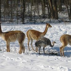 Reserva provincial Laguna Brava