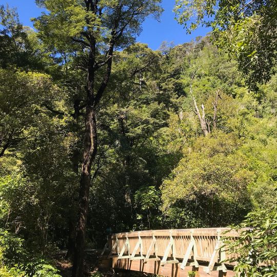 Brook Waimārama Sanctuary