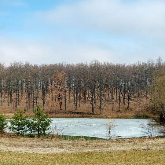 Saschtschanska dubyna