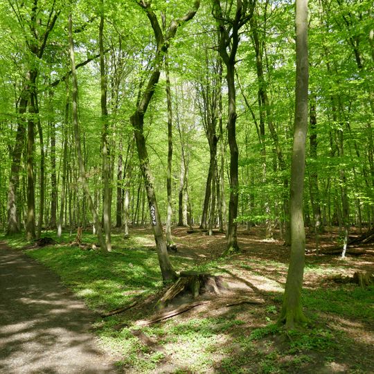 NSG Waelder um Welver