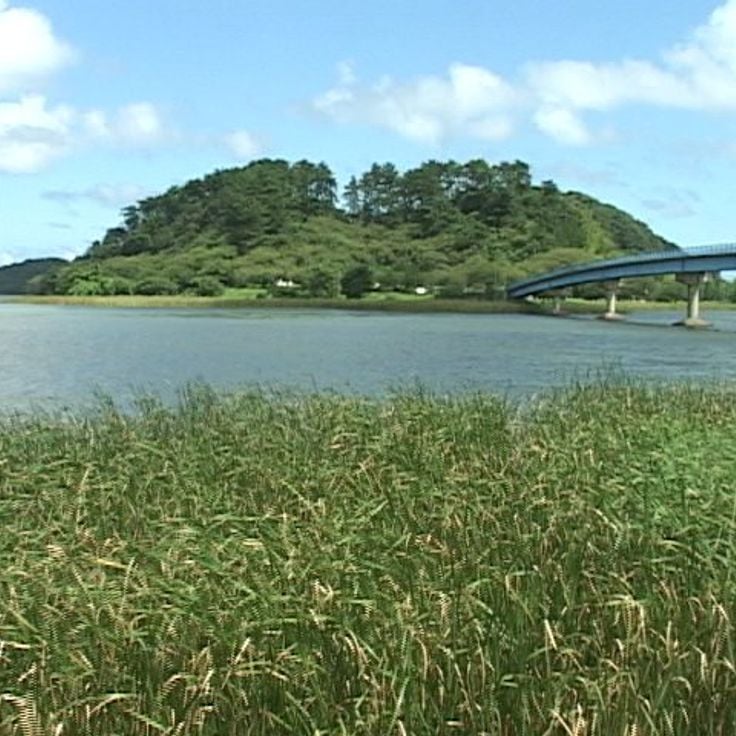 Aoshima