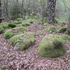 Großsteingrab Mühle Verhorn