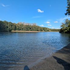 Hundebadestelle Grunewaldsee