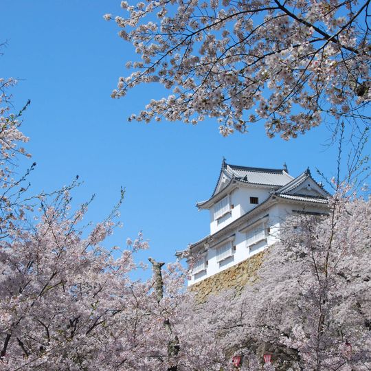 Château de Tsuyama