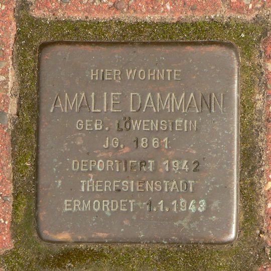 Stolperstein en memoria de Amalie Dammann