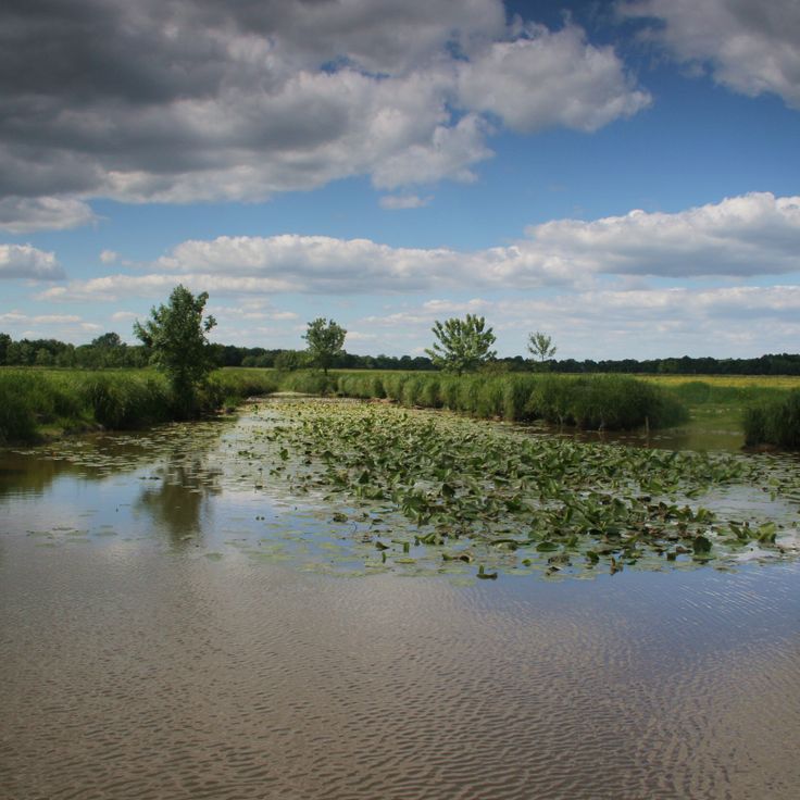 Isola di Saint-Aubin