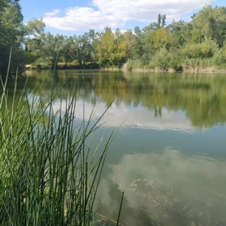 Bachassier Ponds