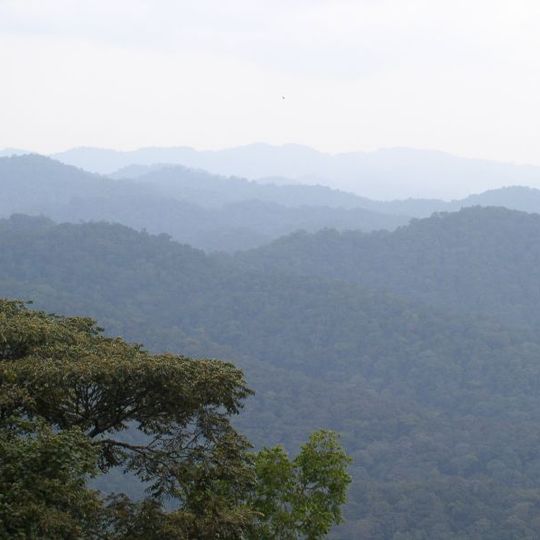 Bwindi Impenetrable Forest