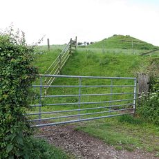 Medieval chapel, 220m south east of White Gables