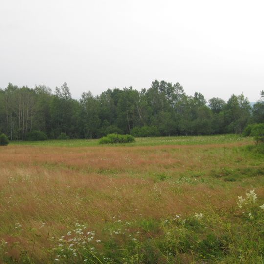 Prameniště Hamerského potoka u Zvonkové
