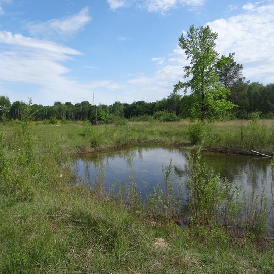 Bruyères De Sainte-Assise
