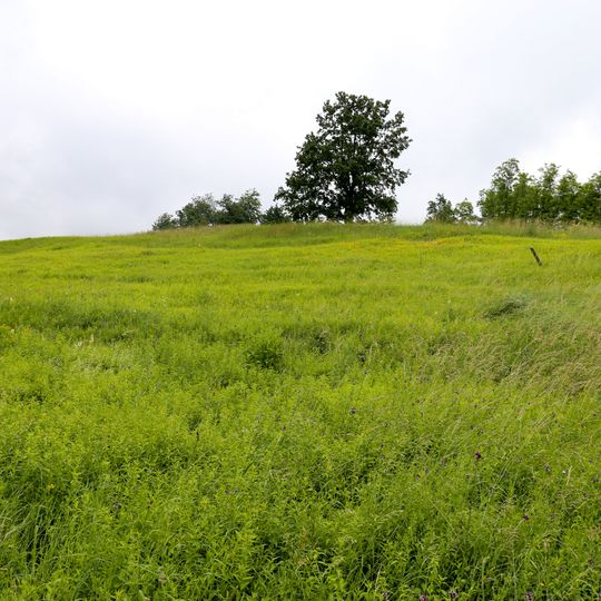 Góra Gipsowa Nature Reserve