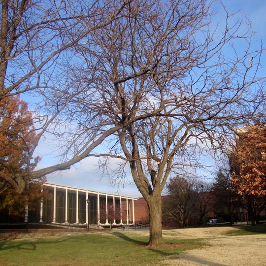 Wichita State University