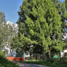 Усадьба (Петрово-Городище)