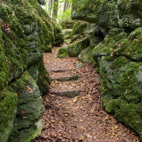 Wellucker Wald nördlich Königstein