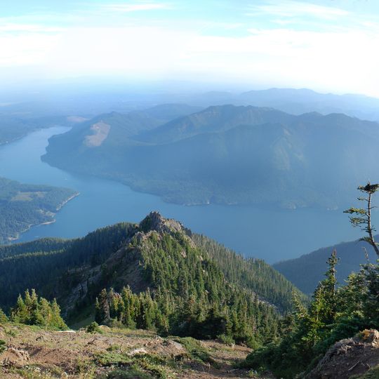 Olympic National Forest