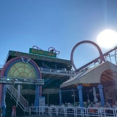 Momonga Standing and Loop Coaster