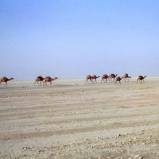 Registan Desert