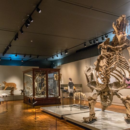Museum of Zoology of the University of São Paulo