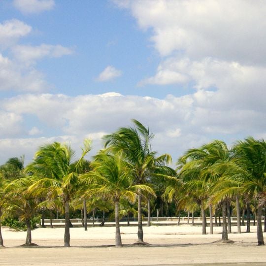 Crandon Park