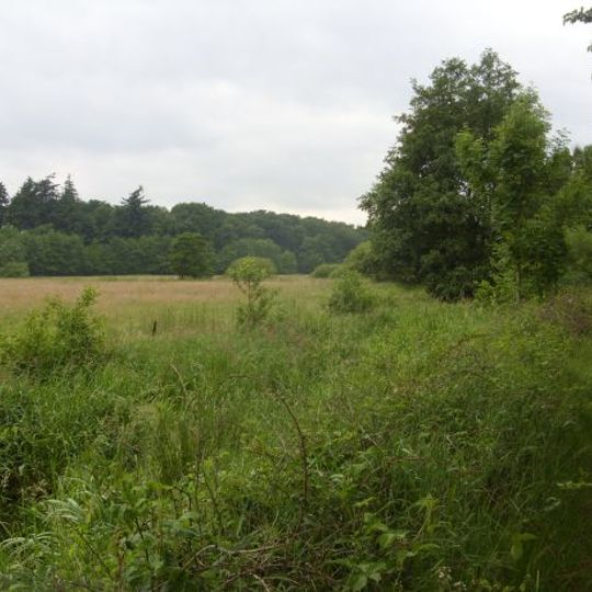 Barneführer Holz und Schreensmoor