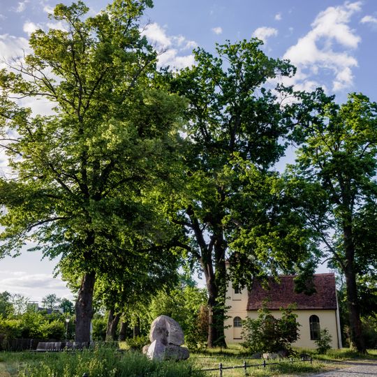 Naturdenkmal Baumbestand Kirchhof Kirchhof Seddin in Seddin